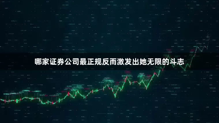 哪家证券公司最正规反而激发出她无限的斗志