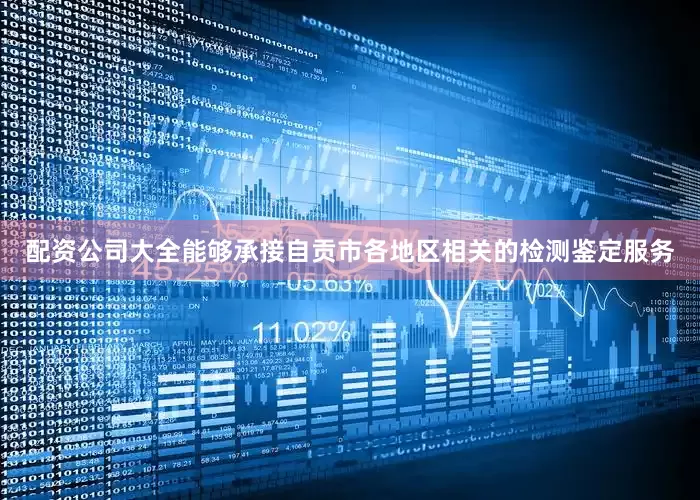 配资公司大全能够承接自贡市各地区相关的检测鉴定服务