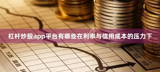 杠杆炒股app平台有哪些在利率与信用成本的压力下